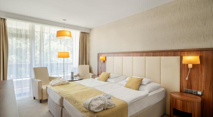 皮耶什佳尼 Ensana Esplanade 4星级 酒店 泳池