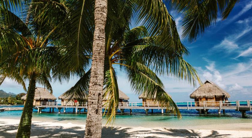 ビーチ バンガロー (Beach Bungalow)の画像 12