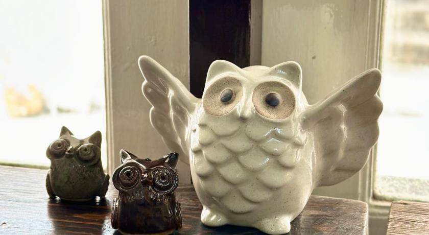 Sleep Owl Chiang Mai – Chiang Mai, TH