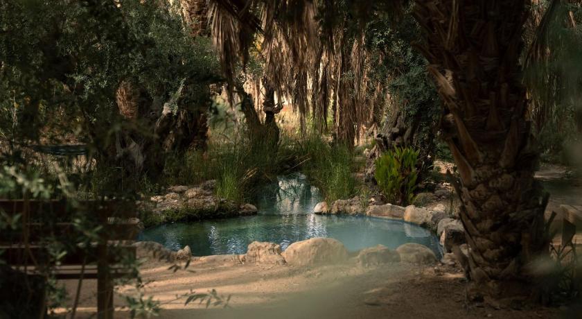 MOA Living - Desert Stay with Shelter Access