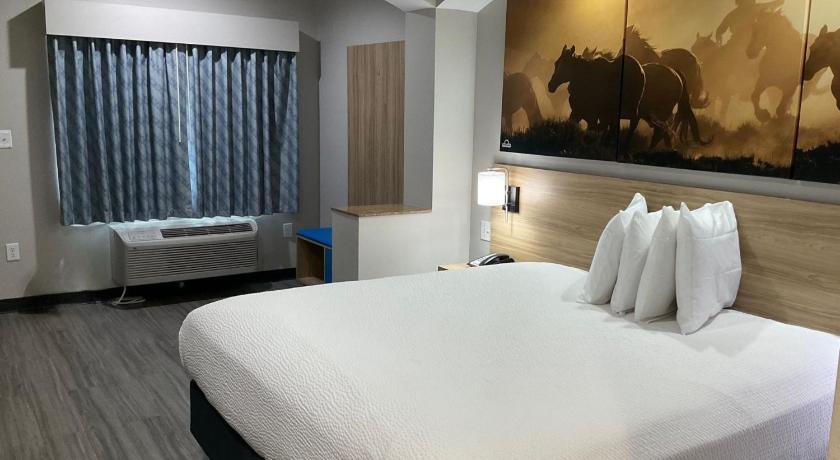 Image of 1 King Bed Suite Non-Smoking 0
