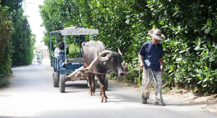 沖縄本島 沖縄といえばココ！！美ら海水族館徒歩圏内！ビーチにBBQに星空観察　隠れ家的貸切一軒家 2つ星 シングルルーム 外観