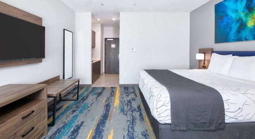 Afbeelding van 1 King Bed, Mobility/Hearing Access Premier Room, Roll-In Shower, Non-Smoking 0