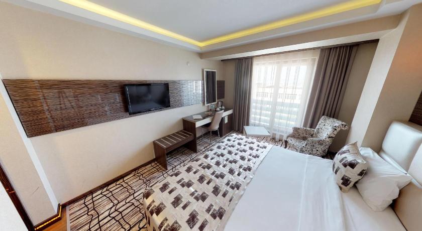 Green Prusa Hotel - image 12