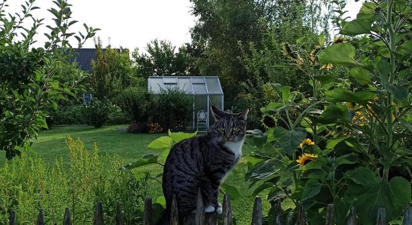 湖畔多宾 Ferienhaus Liwi 4星级 单人房 客房