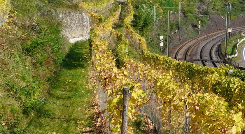 Gasthaus Weingut Stahl photo