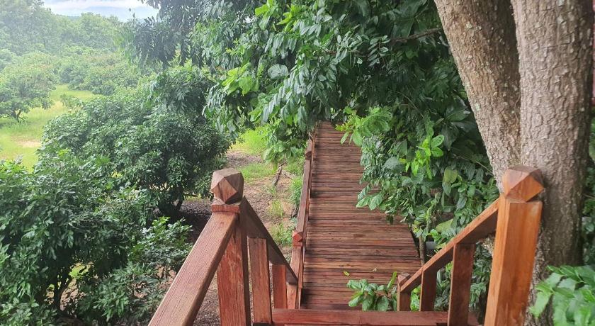 帕尧 Napahong Treehouse นาป่าฮง 4星级 单人房 泳池