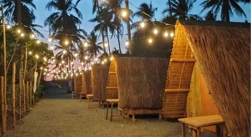 Patar Palms