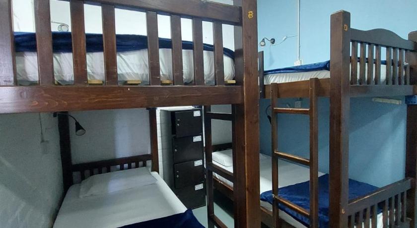 Image of Bunk Bed in a Mixed Dormitory 3