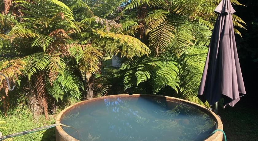 Whare&geothermal pool by lake Taupo