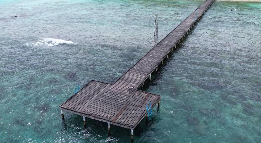 몰디브 아일랜드 Turtle Maldives - Your Gateway to the Beach & Marine Adventures Await! 3성급 숙소 전망