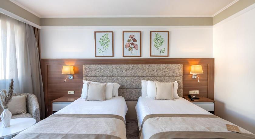 Image de Superior Room Twin Bed City View 1