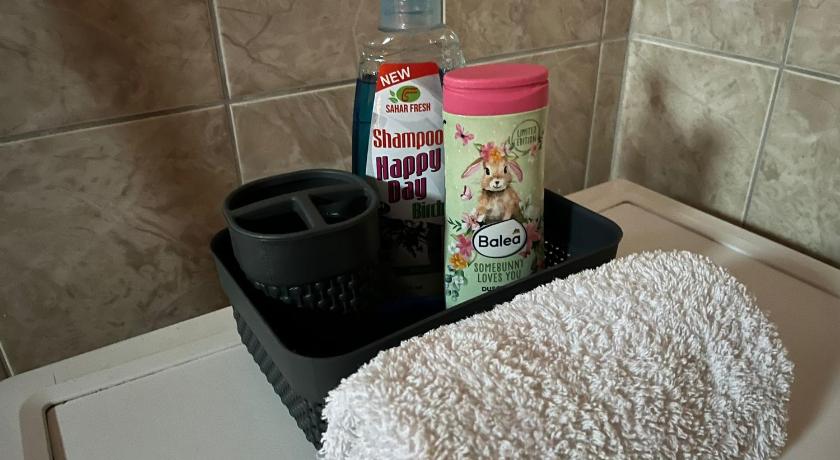 베오그라드 GOLD Apartman 4성급 싱글룸 객실