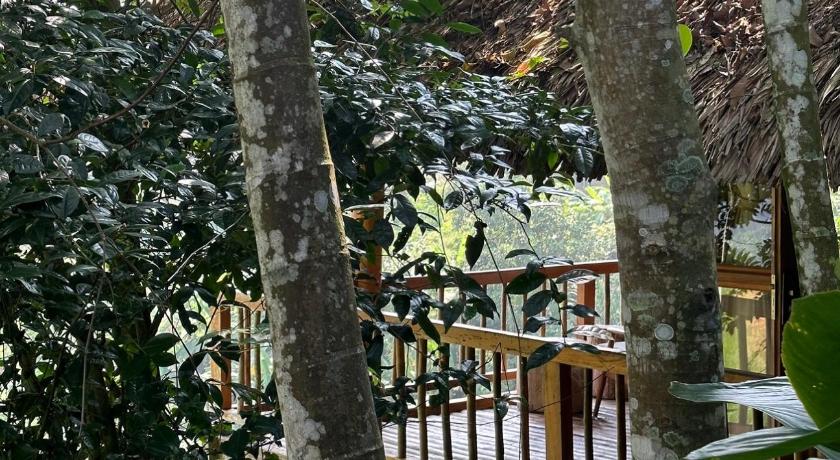 Resort Pu luông Boutique Garden - image 30