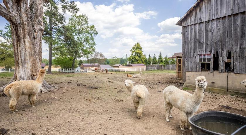 Foto di Watch Deer from a Farm Cottage - Prenotazione scontata Agoda