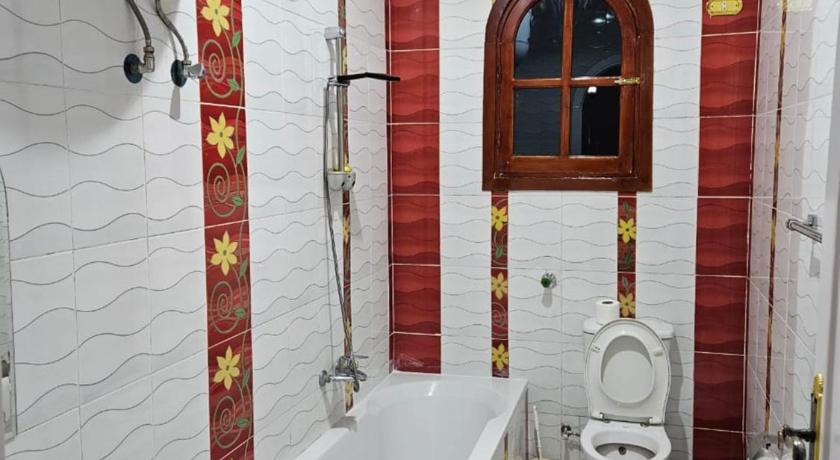 ルクソール Egypt Villa Garden 5つ星 シングルルーム 眺望