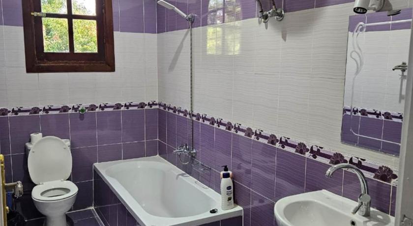 ルクソール Egypt Villa Garden 5つ星 シングルルーム ロビー