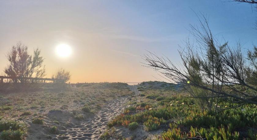 로마 Sun and Sand Focene 4성급 싱글룸 레스토랑