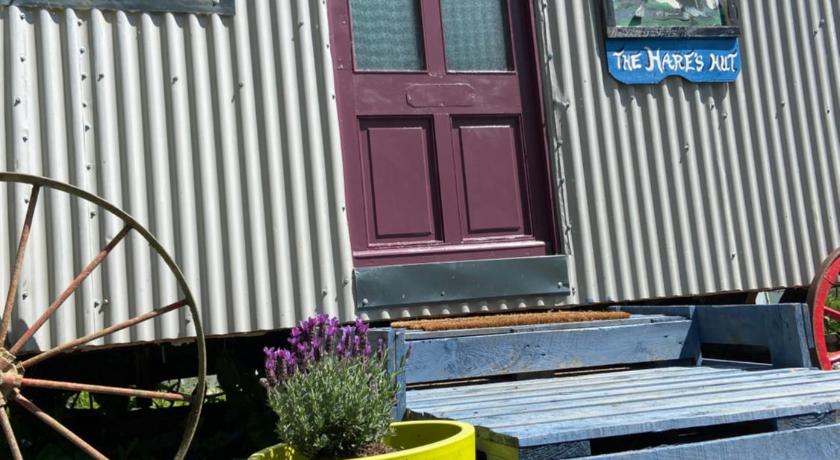 The Hares Hut at Carrigeen Glamping