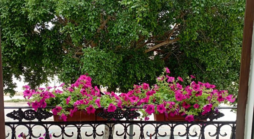 Casa bluchic Gioisia