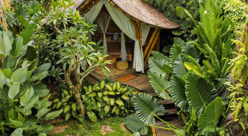 Tampilan Wahem Eco Bamboo - Wahem Tebenan