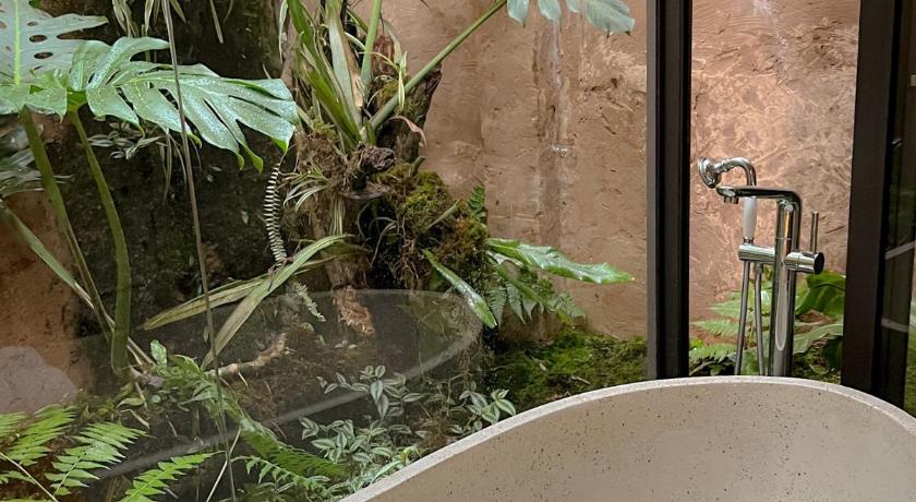 沙坝 Love House Homestay SAPA 4星级 民宿 套房