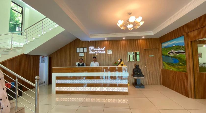 Pineland Chalets And Resort - image 13