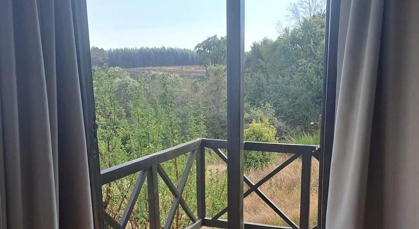 Image of King Room with Garden View 9