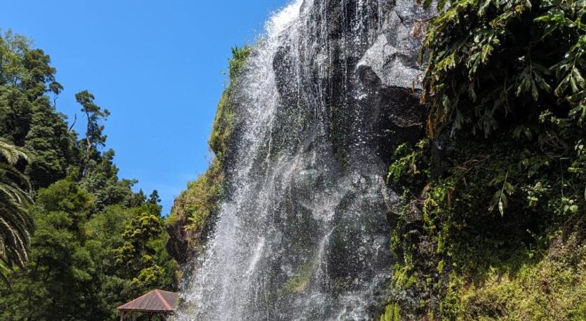 诺尔德斯泰 Basaltic Guest House 3星级 酒店 餐厅