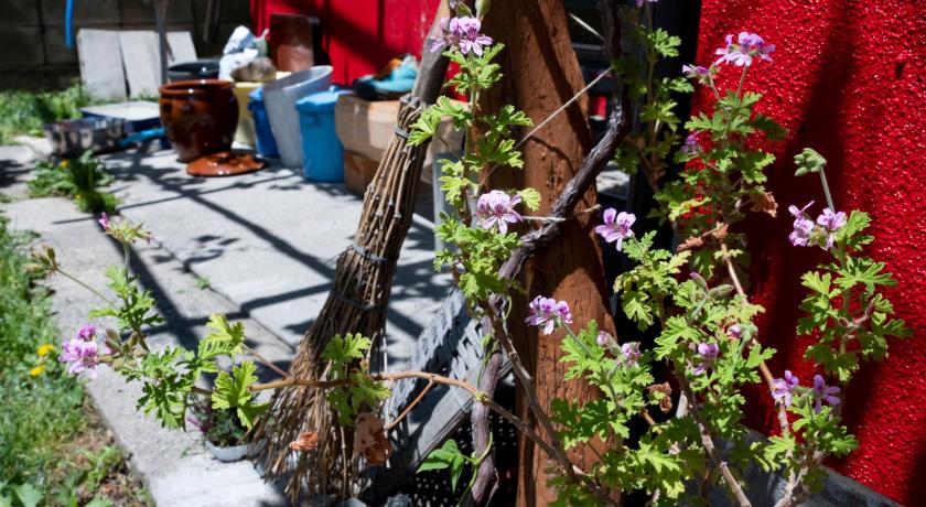 마쓰모토 / 마츠모토 Nonna Milli 숙소 외관