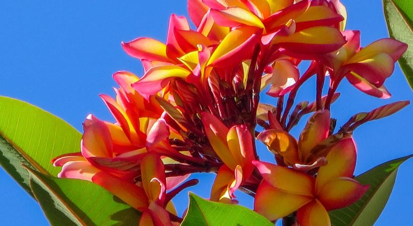 Cairns Beaches Flashpackers