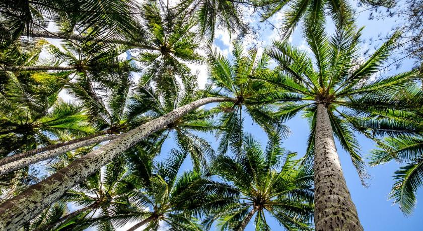 Cairns Beaches Flashpackers