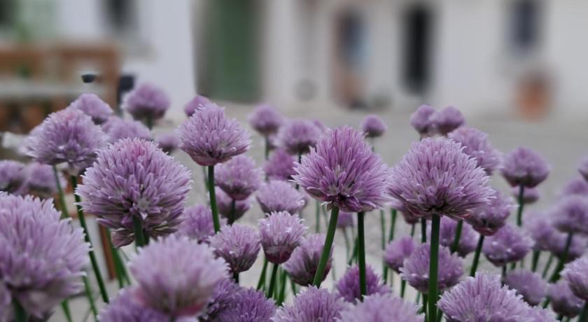 ソリソ B&B Il Cortile 3つ星 ホテル 眺望