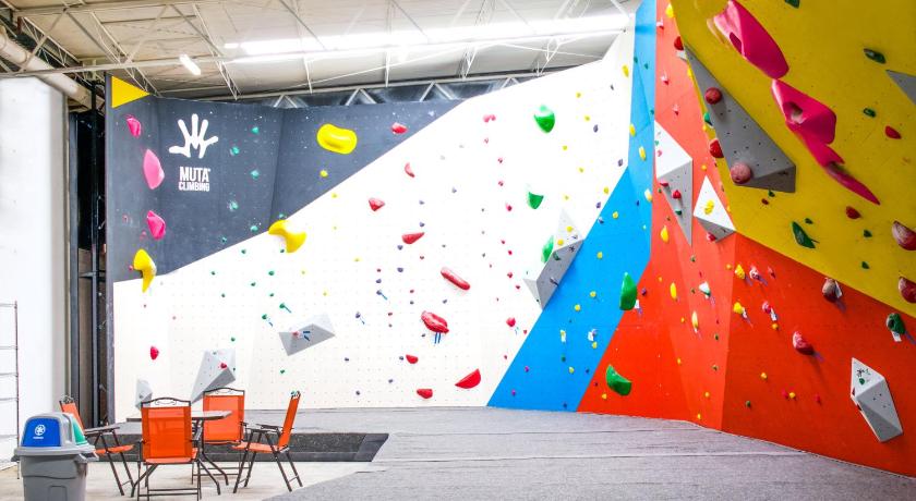 瓦哈卡 Kali Oaxaca Hostel 2星级 酒店 大堂