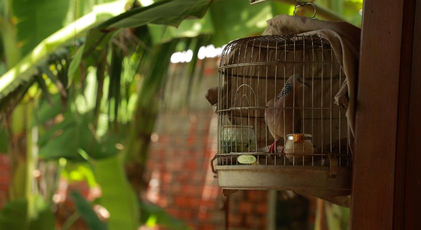 Homestay Nhà Của Gió - image 30