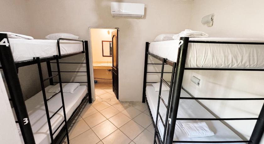 Image of Bed in 6-Bed Female Dormitory Room 0