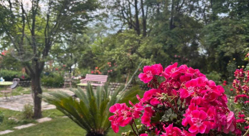 Naggar-Manali's paradise at Chanderlok - image 37