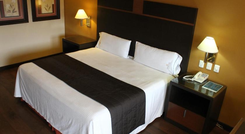 Hotel Plaza las Quintas photo