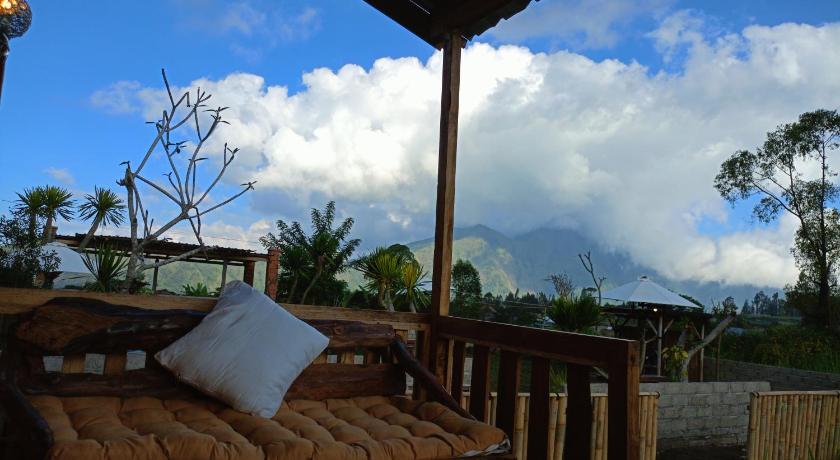 巴厘 Batur Twin house 酒店 泳池