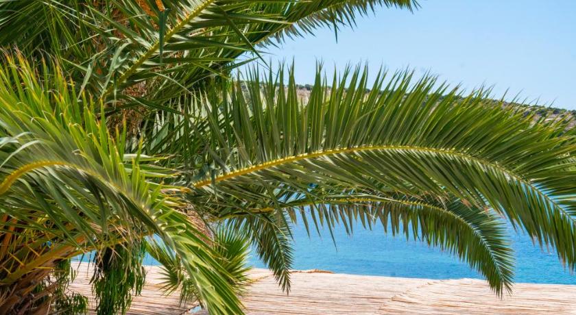 Manuela Hotel Bitez - image 3