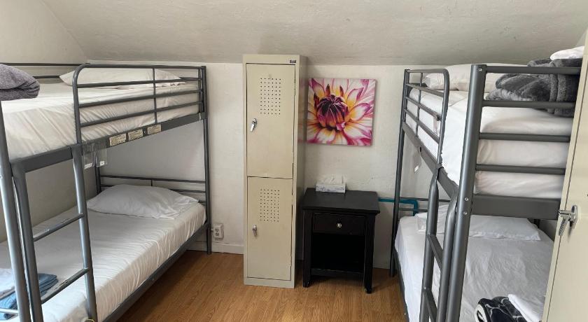 圣路易斯奥比斯波 (CA) San Luis Obispo Hostel 2星级 住宿 大堂