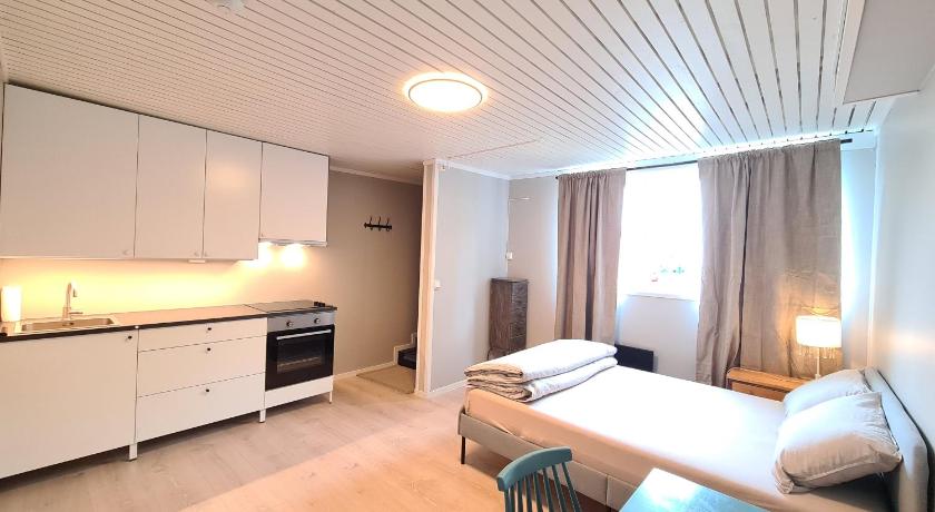 利勒斯特罗姆 DT Serene Villa - Lillestrøm Oslo 3星级 民宿 客房