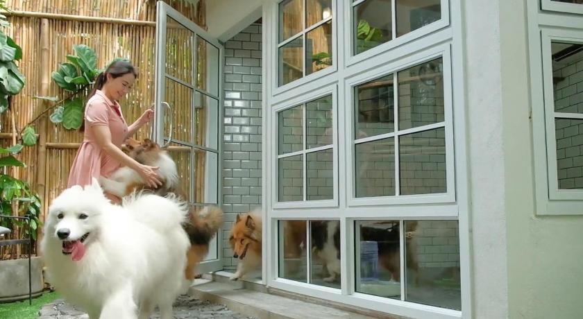 Image of Pet Friendly Room 9