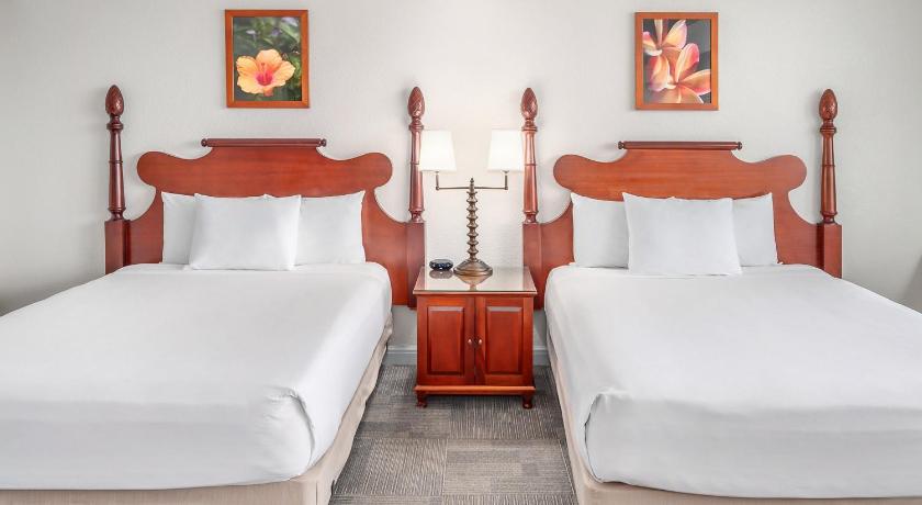 Image of 2 Double Beds Oceanfront 11