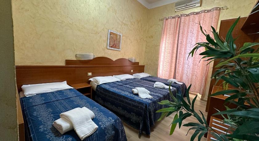 罗马 Hotel Casali 2星级 酒店 景观