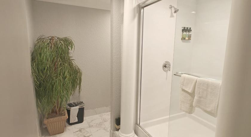 Image of Penthouse Apartment 2