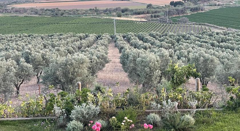 La Pizzuta del Principe