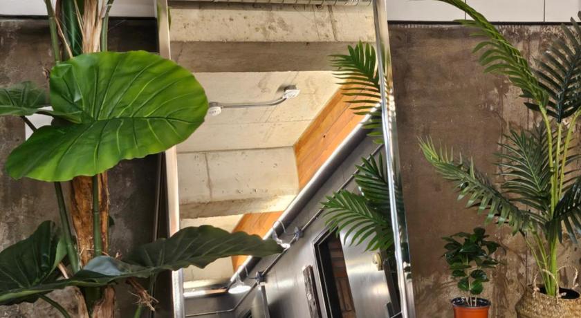 Image of Single Bed in Male Dormitory Room with Shared Bathroom 17