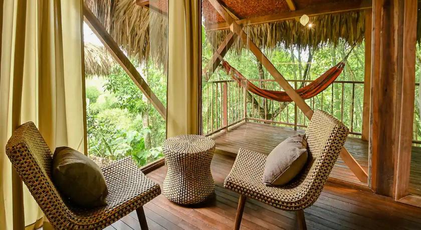 Cabin Nestled in Bamboo Forest