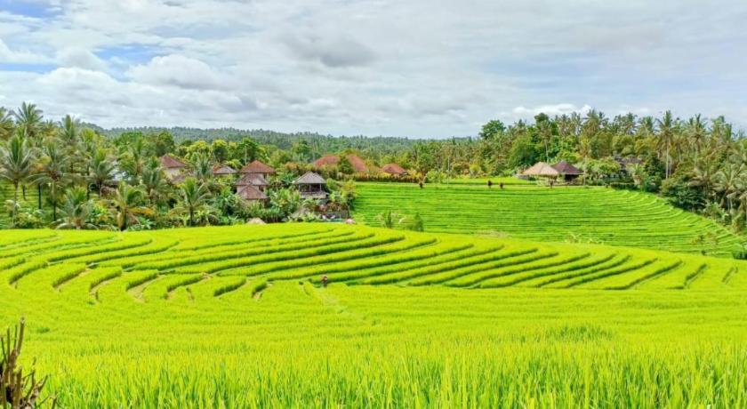 Tampilan Green Ponci Retreat By Balitrees